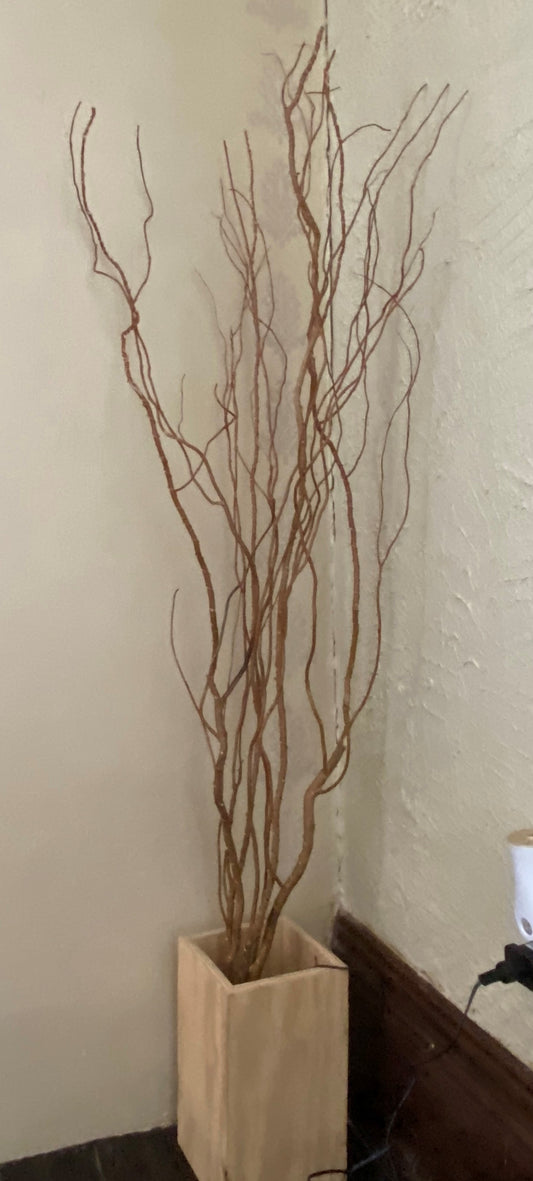 48" Lighted Curly Willow Branches, Natural,Plug in /Remote control