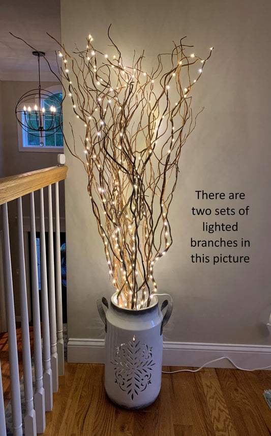 60" LED Lighted Natural Curly Willow Plug in