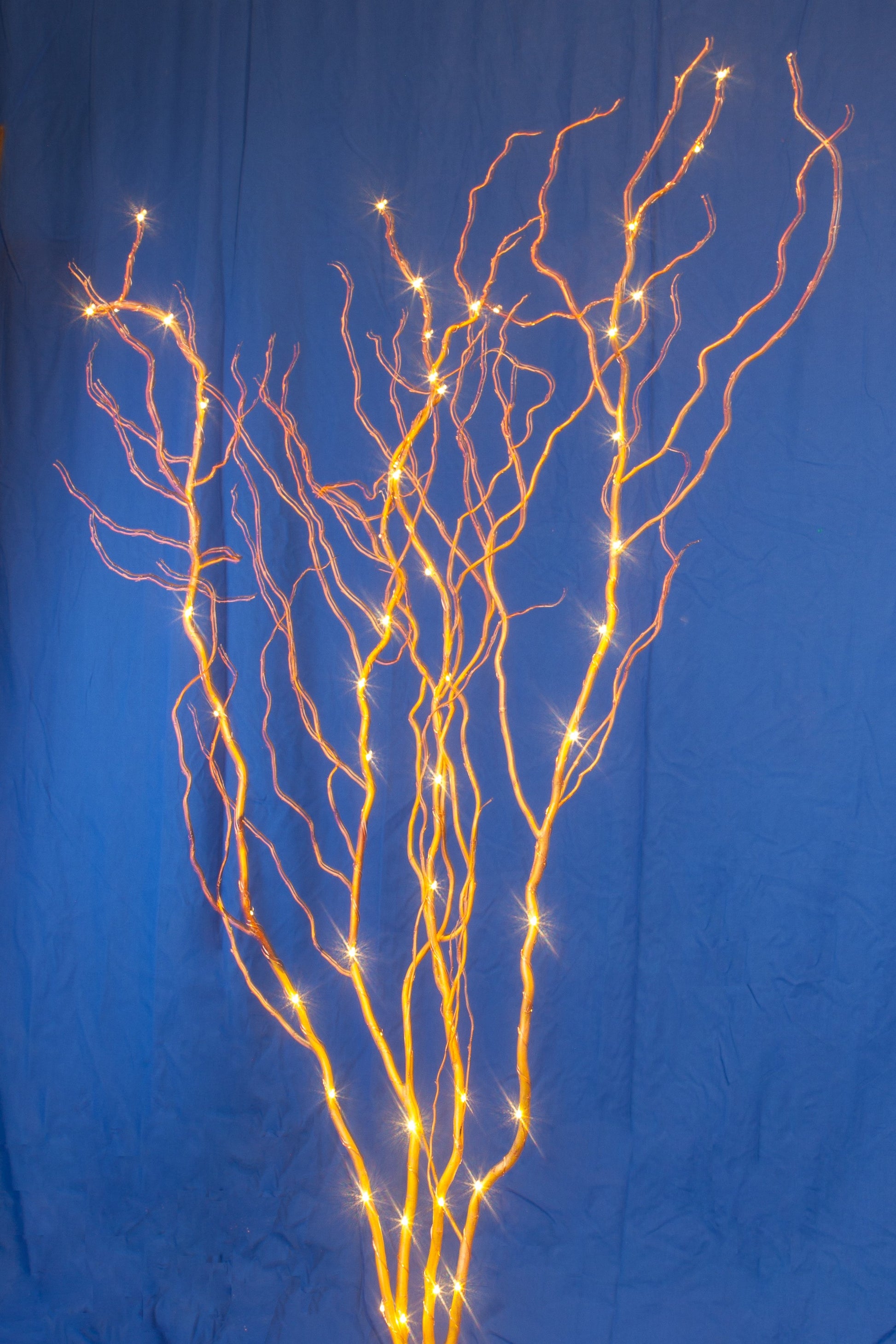 48 LED Lighted Gold Curly Willow Branches with 8 Function Remote