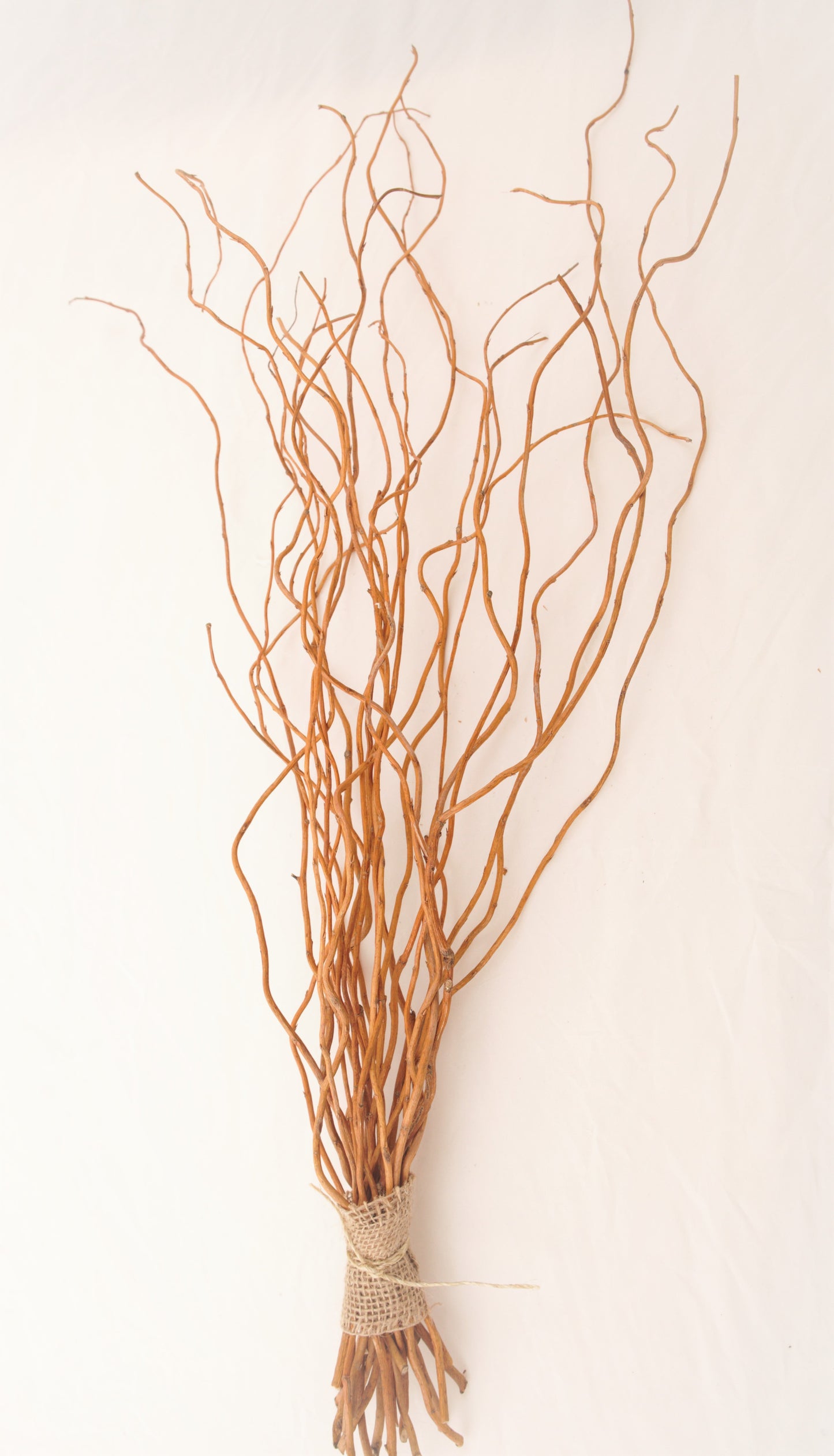 Curly Willow Branches 30" tall, natural