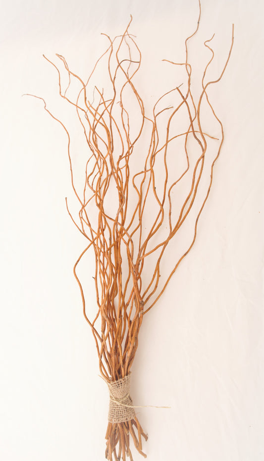 Curly Willow Branches 48" tall, natural