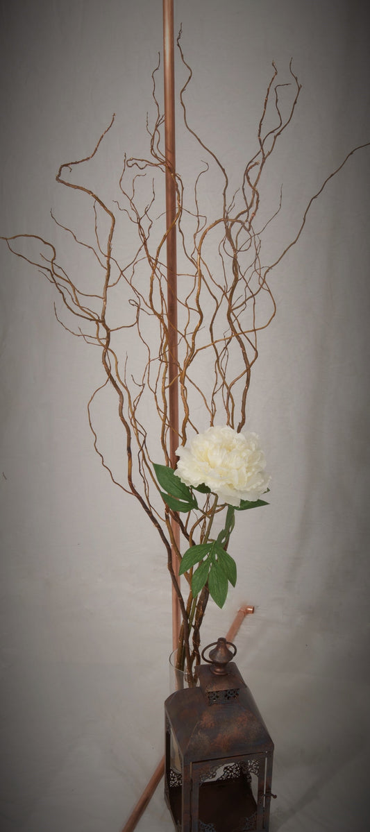 60" LED Lighted Natural Curly Willow Branch with 8 Function Remote