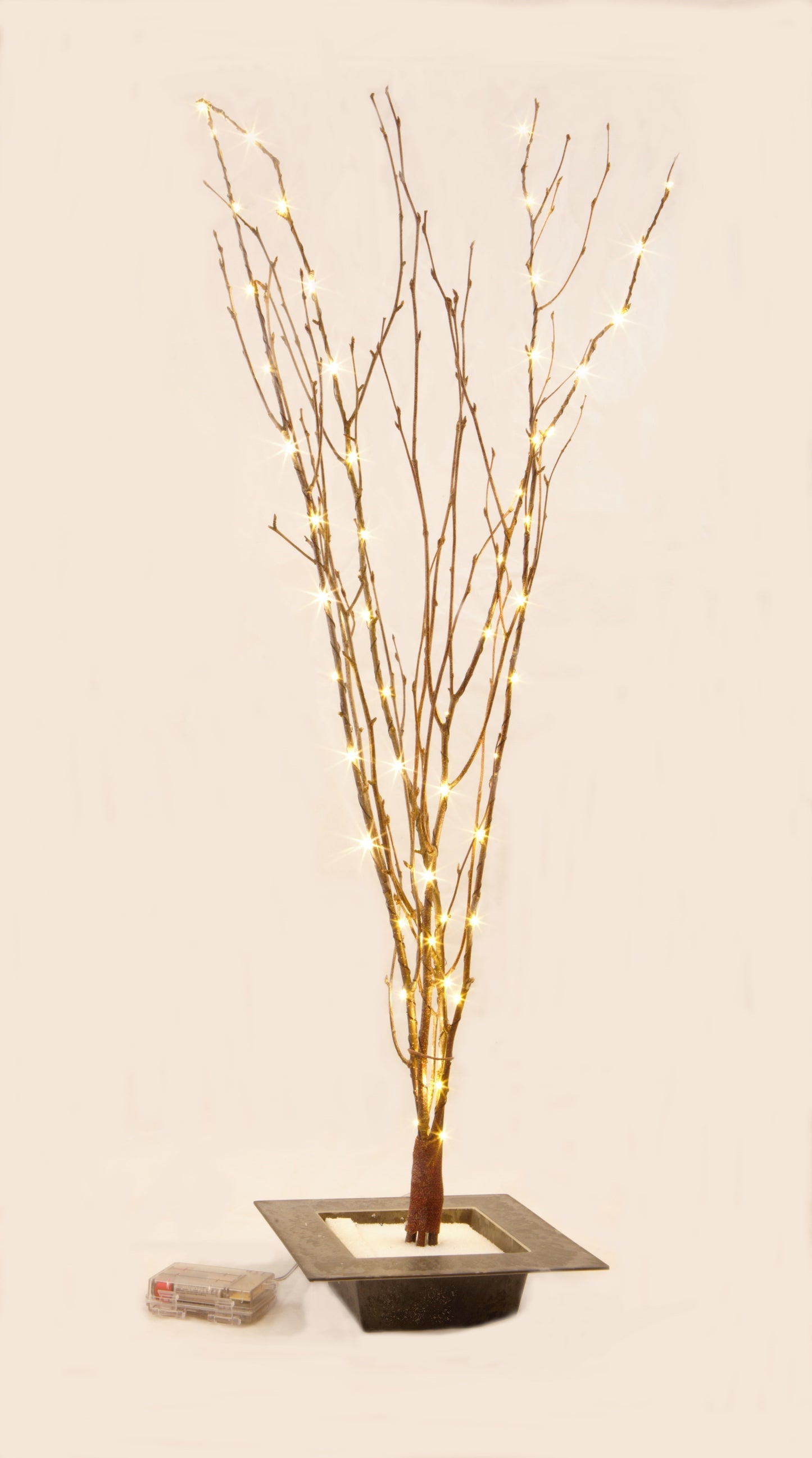 LED Lighted Natural Birch Branches with 8 Function Remote