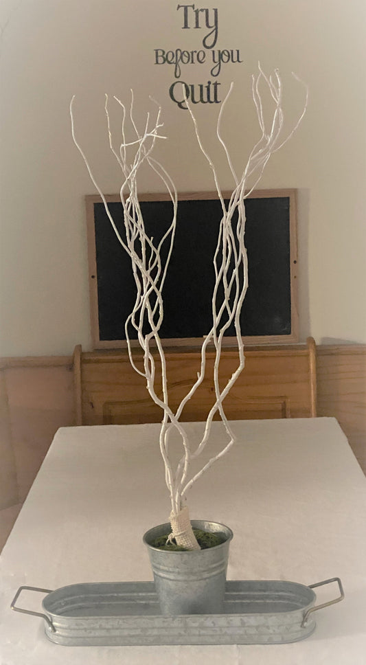 30" LED Lighted Curly Willow Branches, Pearl White with 8 Function Remote