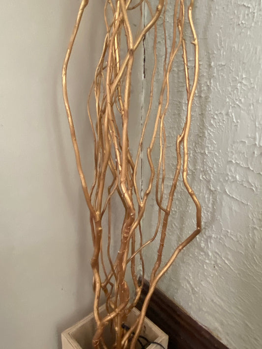 Curly Willow Branches Dried Curly Willow Branches 100% Natural Decorative  14 Stems White Sticks 23 Inch Small Real Gourds for Home Decor 