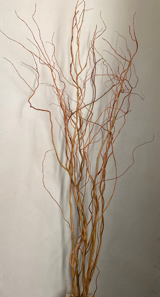 Fresh cut Curly Willow Branches 5 feet tall (4) branch set
