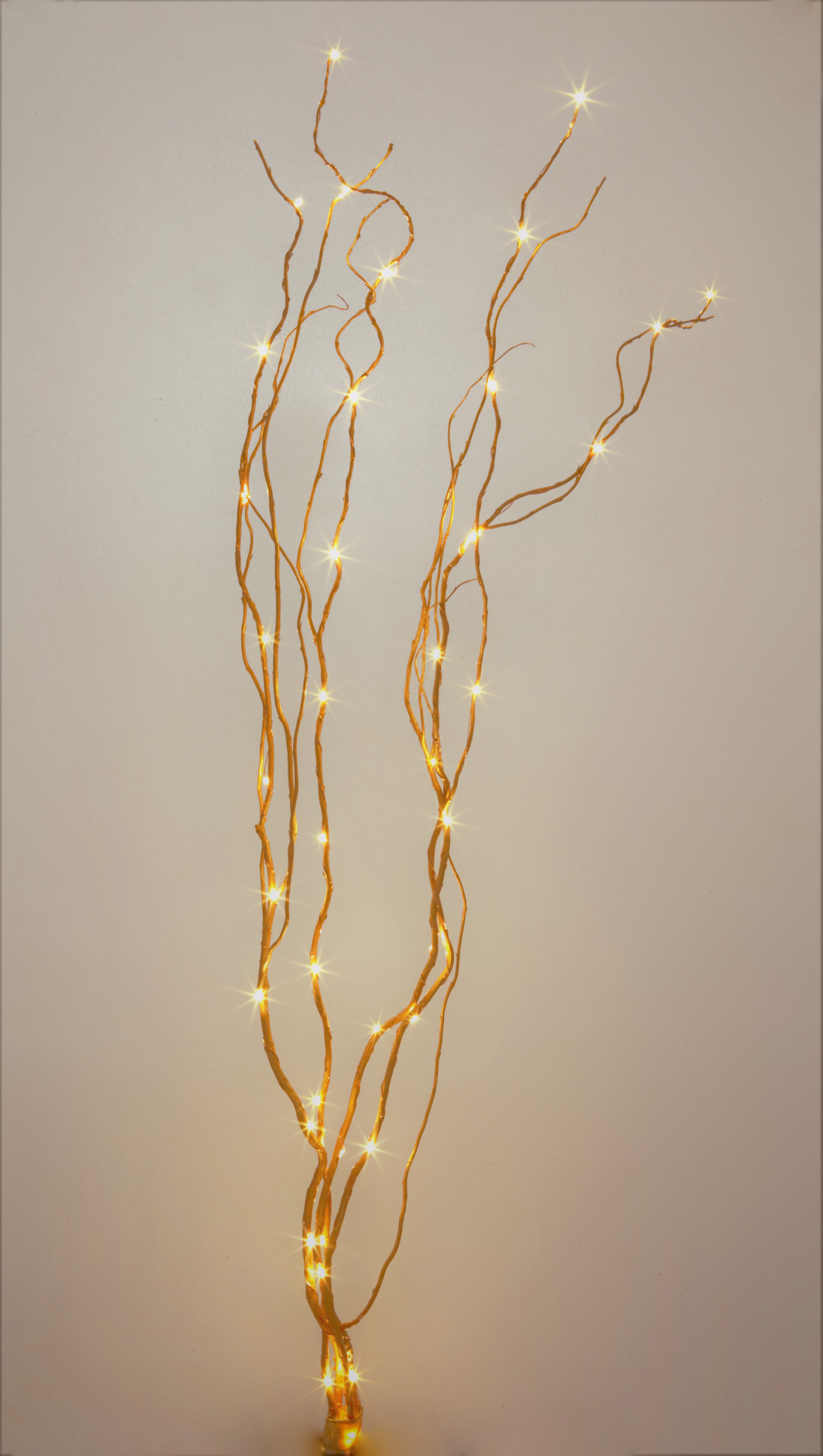 48Lighted Gold Curly Willow Branches Power Battery Wedding Décor Remote –  Willows & More