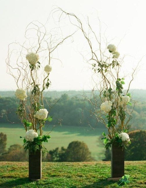 Curly Willow Wedding Arch with vases