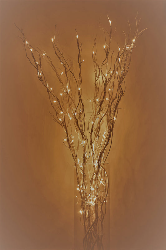 48"Lighted Curly Willow Branches Natural with  8 function Remote